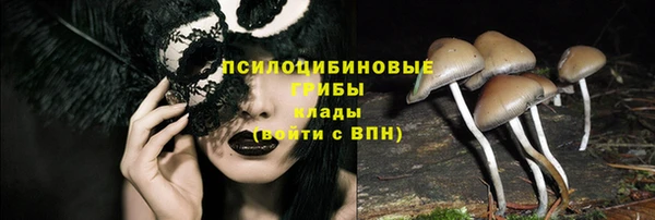 дмт Алзамай