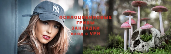 амф Аркадак