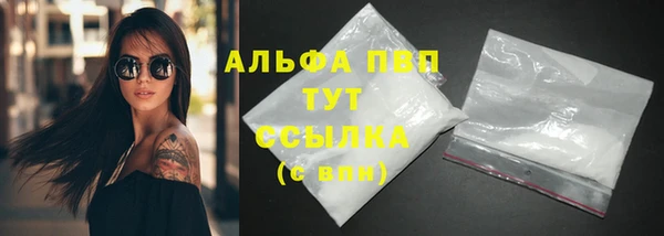 амф Аркадак