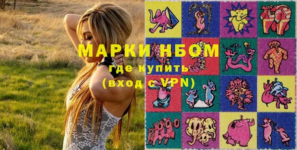 дмт Алзамай