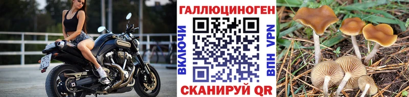 Галлюциногенные грибы прущие грибы  где купить наркотик  Новороссийск 