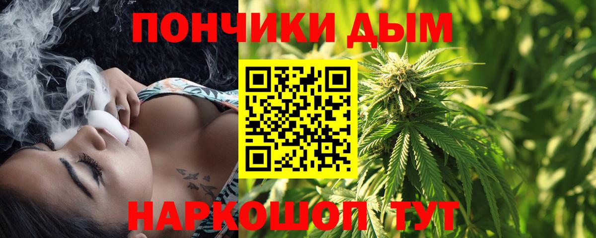 Шишки марихуана марихуана Новороссийск